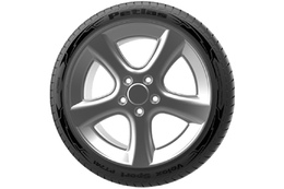 Avtomobil təkəri PETLAS 205/55R17 ZR VELOXSPORT PT741 TL REINFORCED 95W