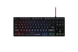 Klaviatura 2E GAMING KG290 87key, USB-A, EN/UA/RU, LED, black