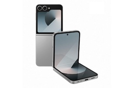 Smartfon Samsung Galaxy Z Flip6 12GB/512GB Silver Shadow (F741)
