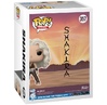 FUNKO POP ROCKS: SHAKIRA (WHENEVER/WHER EVER) (5908305244981)