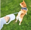 Petkit geriçəkilən ip GO FREE MAX DOG RETRACTABLE LEASH 4,5 M (P2105)